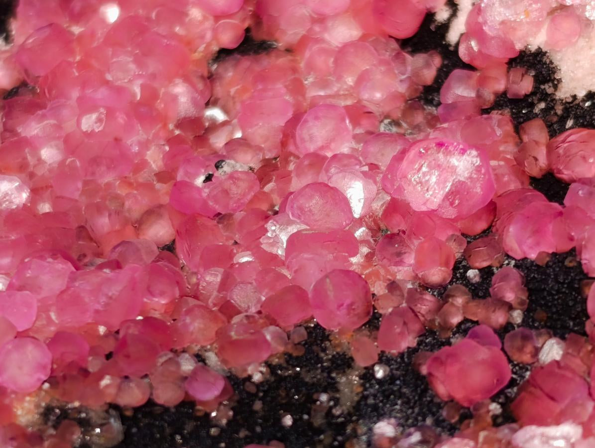 Natural Gemmy Hot Pink Botryoidal Spherocobaltite Classic Cabinet Specimen x 1 From Mashamba West Mine, Congo