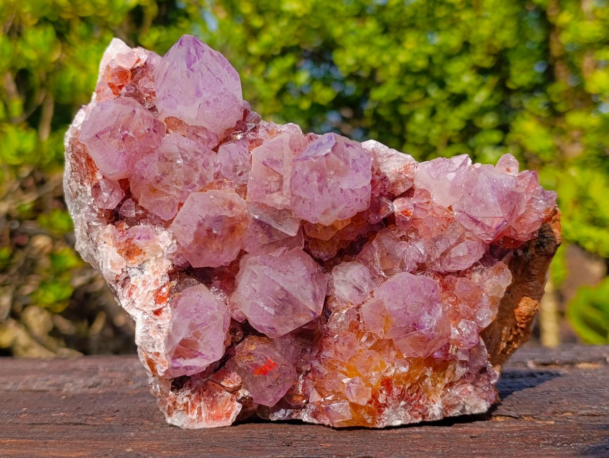 Natural Large Deep Purple Sunburst Spirit Amethyst Crystal Cluster x 1 From Boekenhouthoek, South Africa