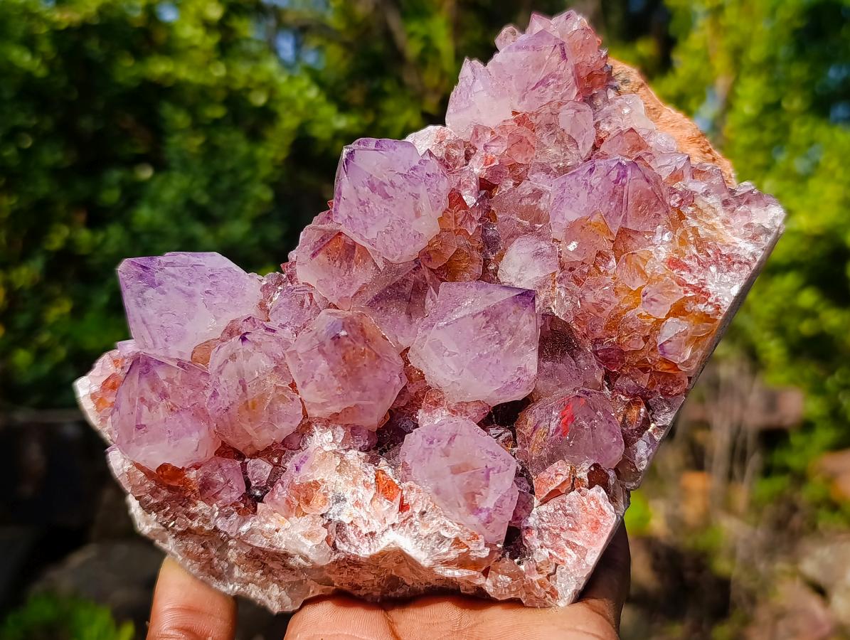 Natural Large Deep Purple Sunburst Spirit Amethyst Crystal Cluster x 1 From Boekenhouthoek, South Africa