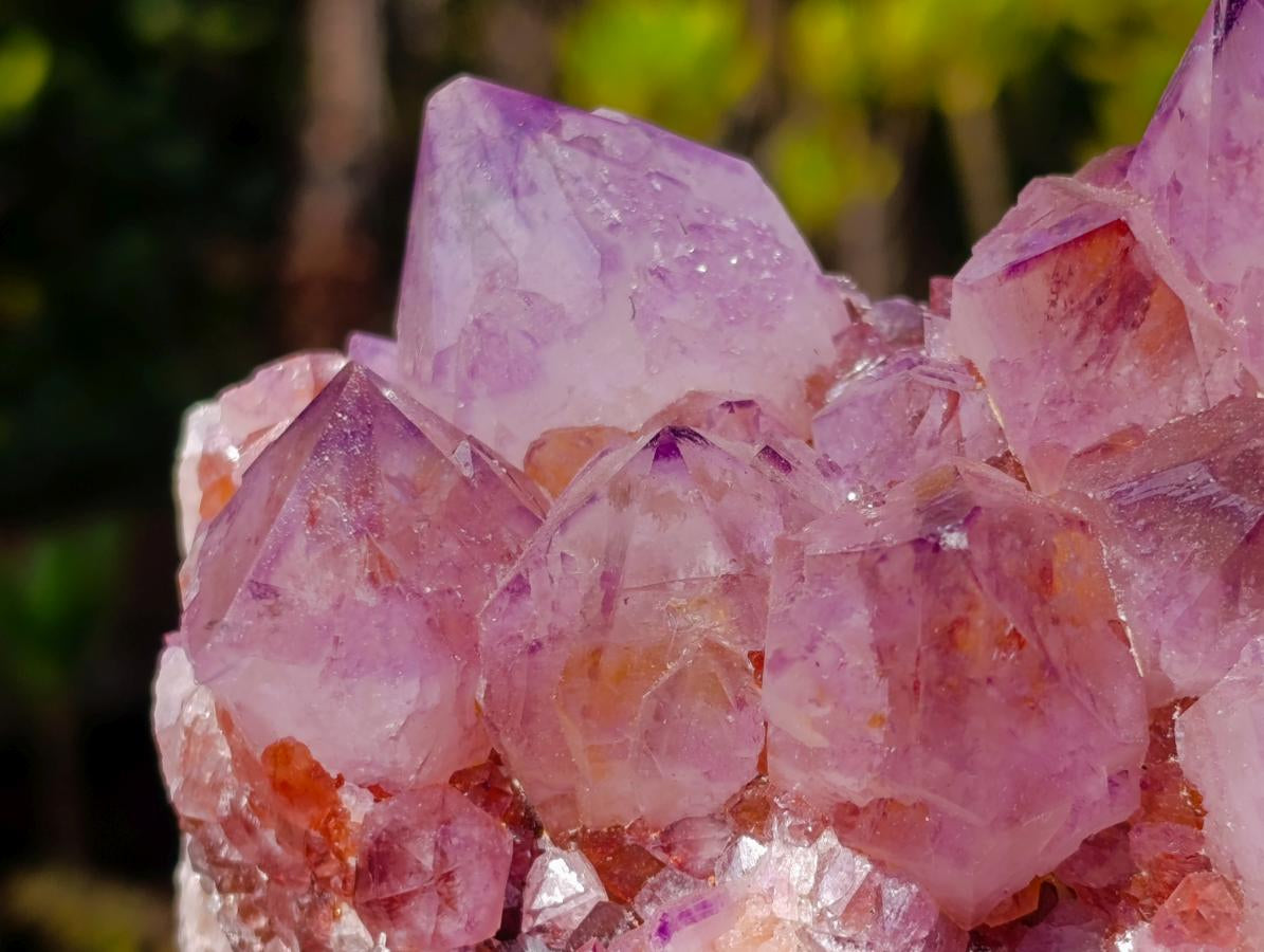 Natural Large Deep Purple Sunburst Spirit Amethyst Crystal Cluster x 1 From Boekenhouthoek, South Africa