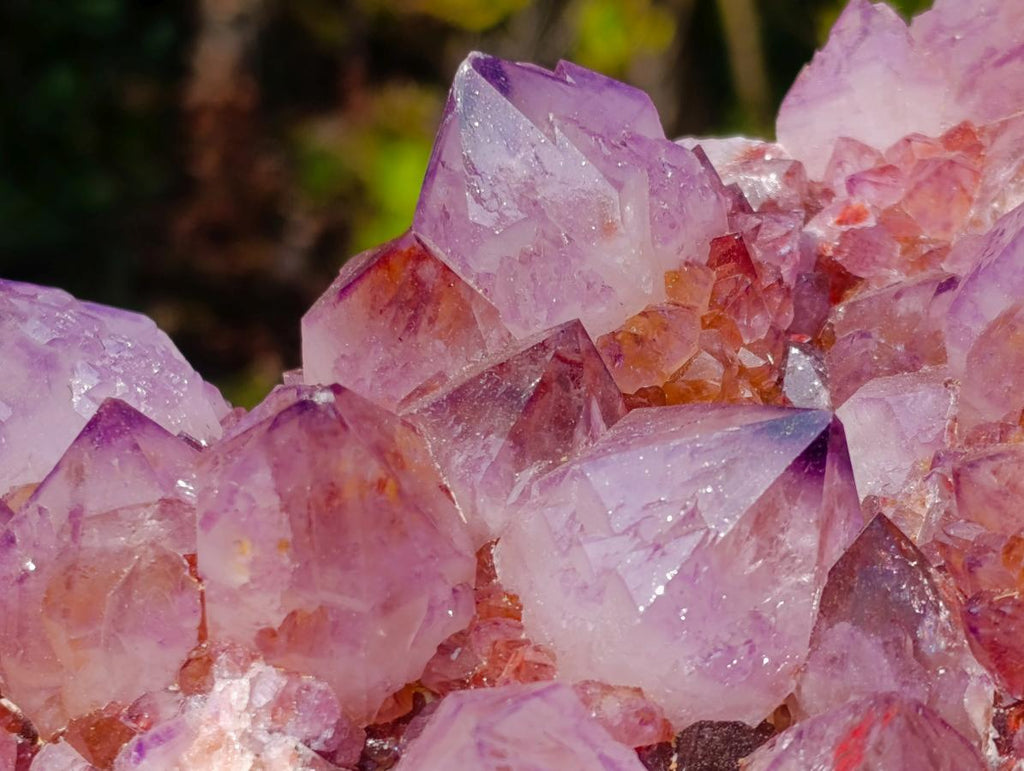 Natural Large Deep Purple Sunburst Spirit Amethyst Crystal Cluster x 1 From Boekenhouthoek, South Africa