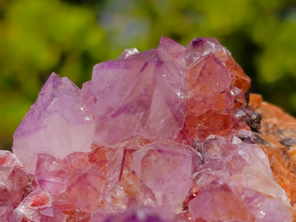 Natural Large Deep Purple Sunburst Spirit Amethyst Crystal Cluster x 1 From Boekenhouthoek, South Africa