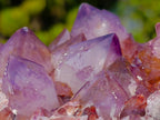 Natural Large Deep Purple Sunburst Spirit Amethyst Crystal Cluster x 1 From Boekenhouthoek, South Africa