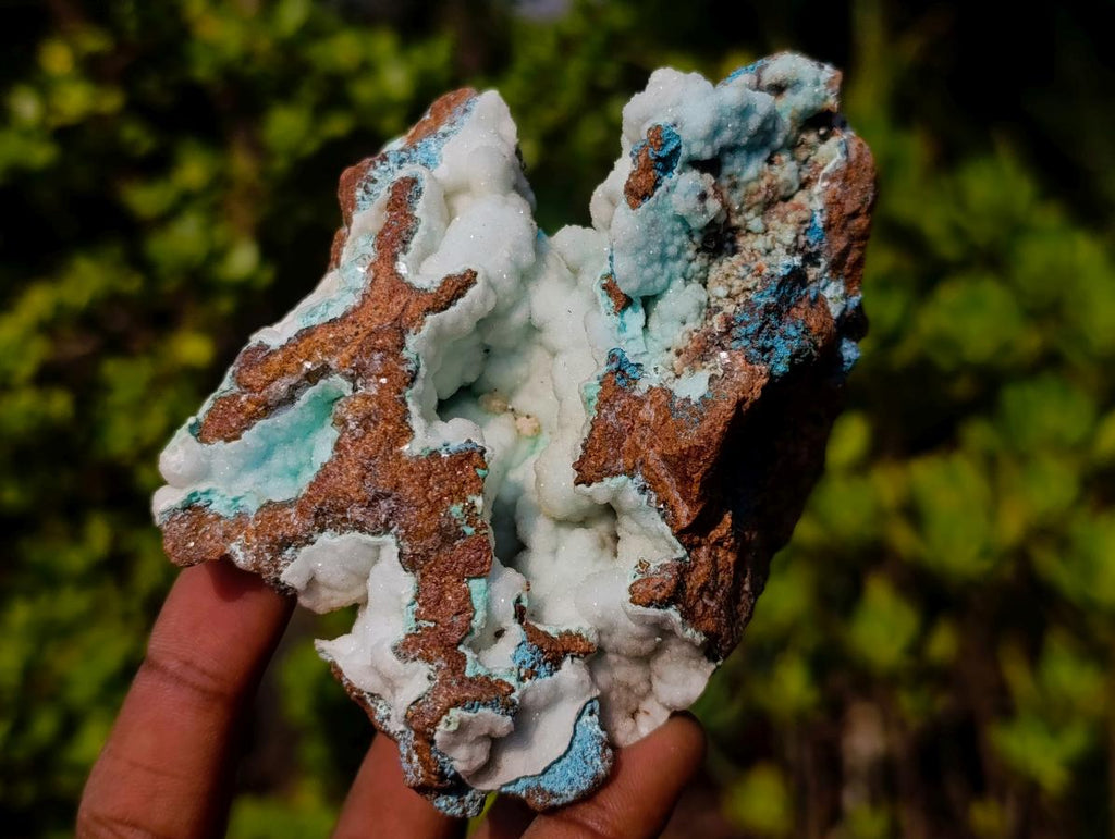 Natural Botryoidal Hemimorphite with Chrysocolla and Shattuckite Specimen x 1 From Tenke Fungurume, Congo
