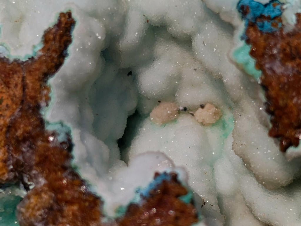 Natural Botryoidal Hemimorphite with Chrysocolla and Shattuckite Specimen x 1 From Tenke Fungurume, Congo