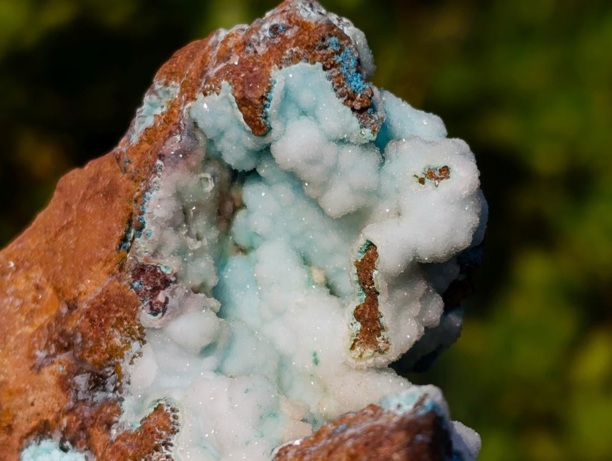 Natural Botryoidal Hemimorphite with Chrysocolla and Shattuckite Specimen x 1 From Tenke Fungurume, Congo