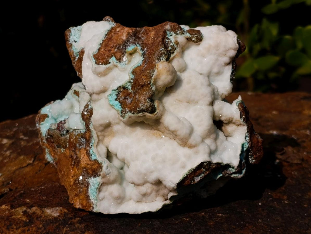 Natural Botryoidal Hemimorphite with Chrysocolla and Shattuckite Specimen x 1 From Tenke Fungurume, Congo