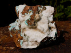 Natural Botryoidal Hemimorphite with Chrysocolla and Shattuckite Specimen x 1 From Tenke Fungurume, Congo