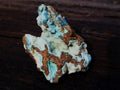 Natural Botryoidal Hemimorphite with Chrysocolla and Shattuckite Specimen x 1 From Tenke Fungurume, Congo