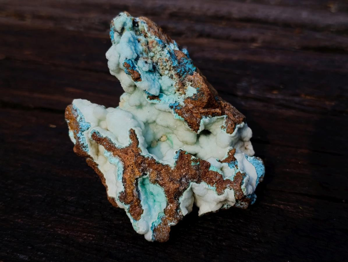 Natural Botryoidal Hemimorphite with Chrysocolla and Shattuckite Specimen x 1 From Tenke Fungurume, Congo