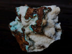 Natural Botryoidal Hemimorphite with Chrysocolla and Shattuckite Specimen x 1 From Tenke Fungurume, Congo