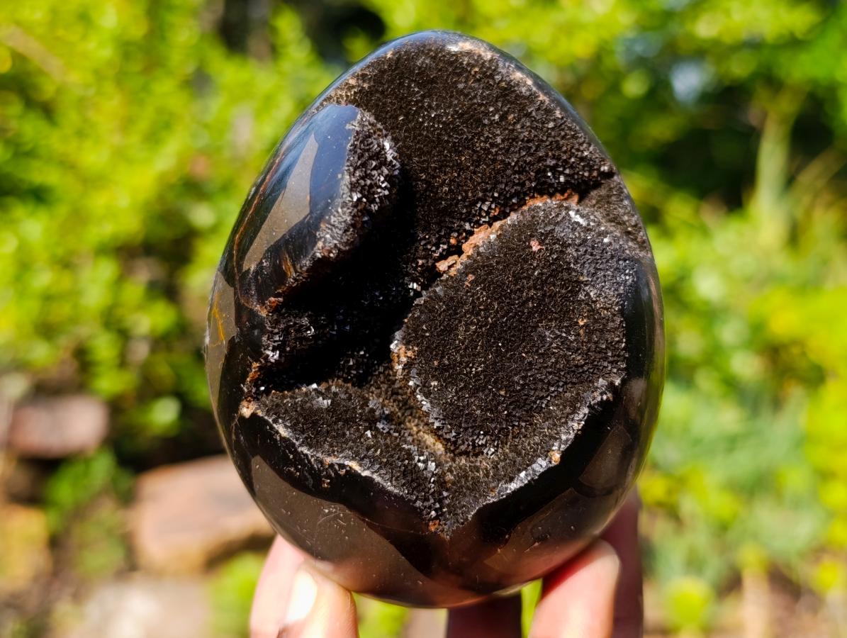 Polished and Natural Small Septerye Sauvage Dragons Egg x 1 From Mahajanga, Madagascar
