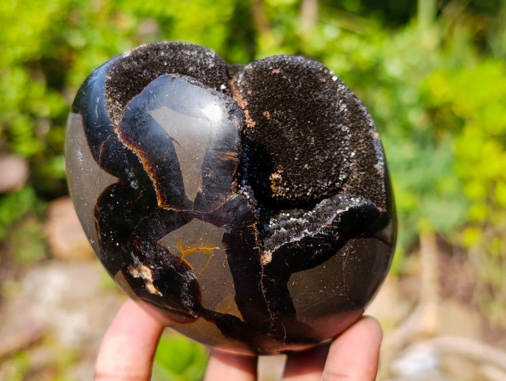 Polished and Natural Small Septerye Sauvage Dragons Egg x 1 From Mahajanga, Madagascar