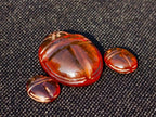 Carved Set of 3 Sacred Scarab Beetle Cabochons in Fossil Baltic Amber x 1 From Poland