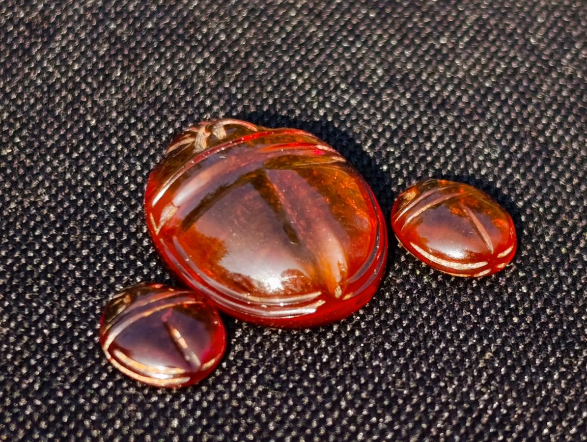 Carved Set of 3 Sacred Scarab Beetle Cabochons in Fossil Baltic Amber x 1 From Poland