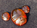 Carved Set of 3 Sacred Scarab Beetle Cabochons in Fossil Baltic Amber x 1 From Poland