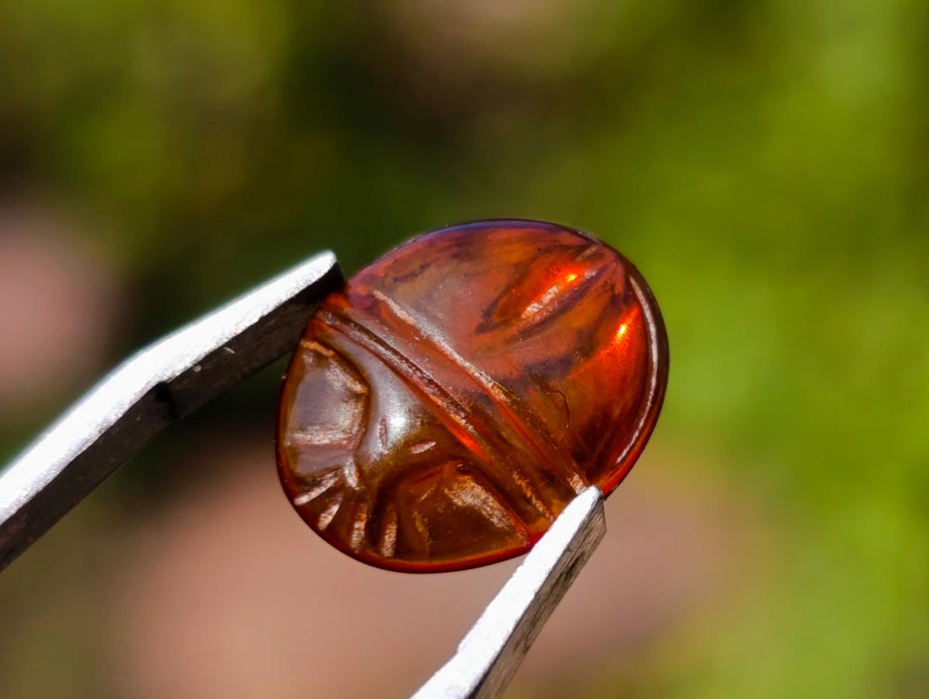 Carved Set of 3 Sacred Scarab Beetle Cabochons in Fossil Baltic Amber x 1 From Poland