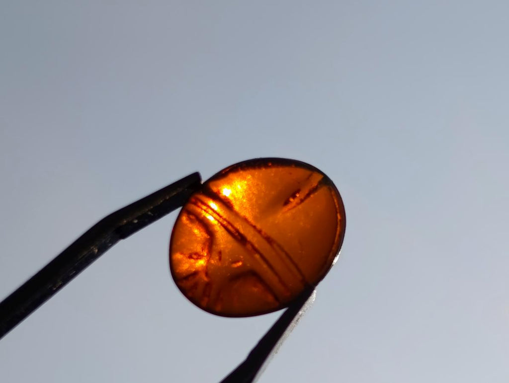 Carved Set of 3 Sacred Scarab Beetle Cabochons in Fossil Baltic Amber x 1 From Poland