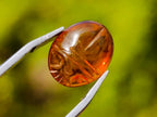 Carved Set of 3 Sacred Scarab Beetle Cabochons in Fossil Baltic Amber x 1 From Poland
