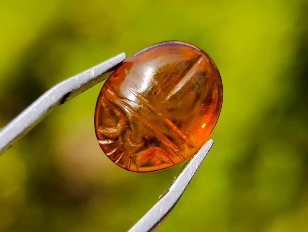 Carved Set of 3 Sacred Scarab Beetle Cabochons in Fossil Baltic Amber x 1 From Poland