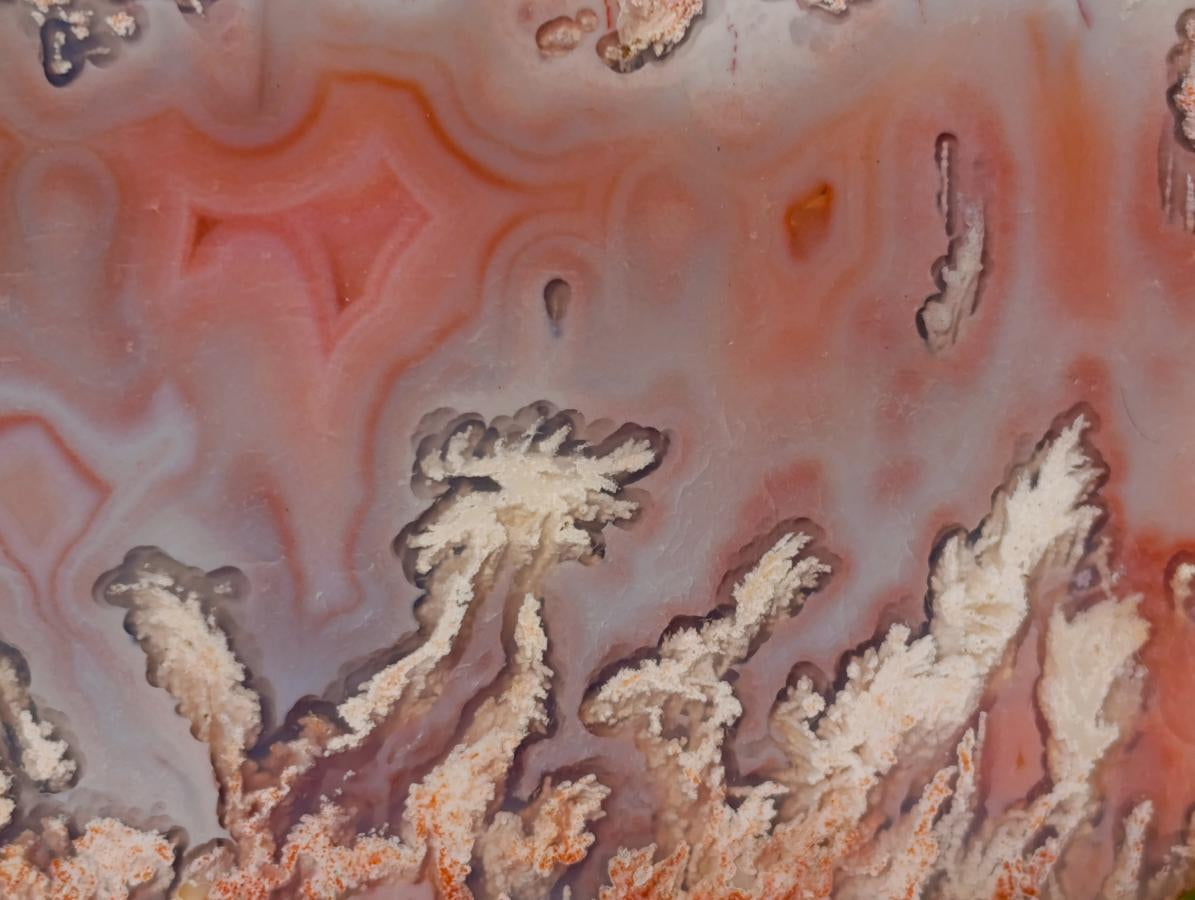 Polished One Side Picturesque Shashe River Agate Nodule x 1 From Shashe River, Zimbabwe
