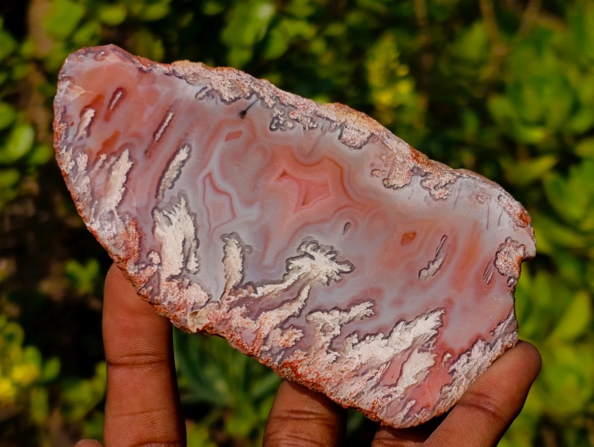 Polished One Side Picturesque Shashe River Agate Nodule x 1 From Shashe River, Zimbabwe