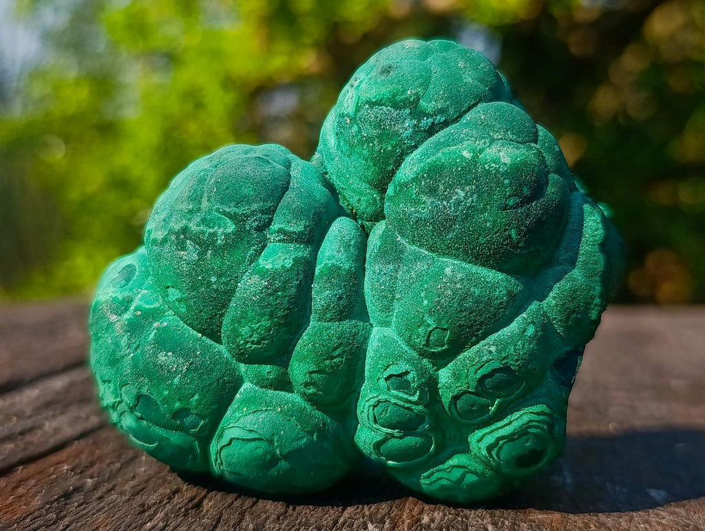 Natural Botryoidal “Kidney” Stalagmitic Crystalline Malachite Specimen x 1 From Kolwezi, Congo