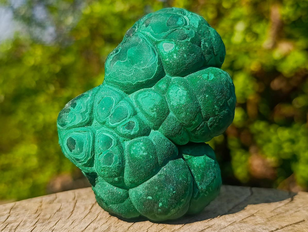 Natural Botryoidal “Kidney” Stalagmitic Crystalline Malachite Specimen x 1 From Kolwezi, Congo