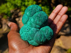 Natural Botryoidal “Kidney” Stalagmitic Crystalline Malachite Specimen x 1 From Kolwezi, Congo