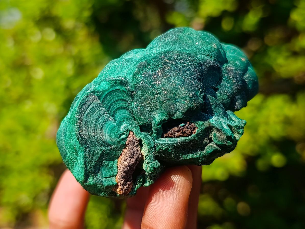 Natural Botryoidal “Kidney” Stalagmitic Crystalline Malachite Specimen x 1 From Kolwezi, Congo