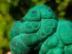 Natural Botryoidal “Kidney” Stalagmitic Crystalline Malachite Specimen x 1 From Kolwezi, Congo