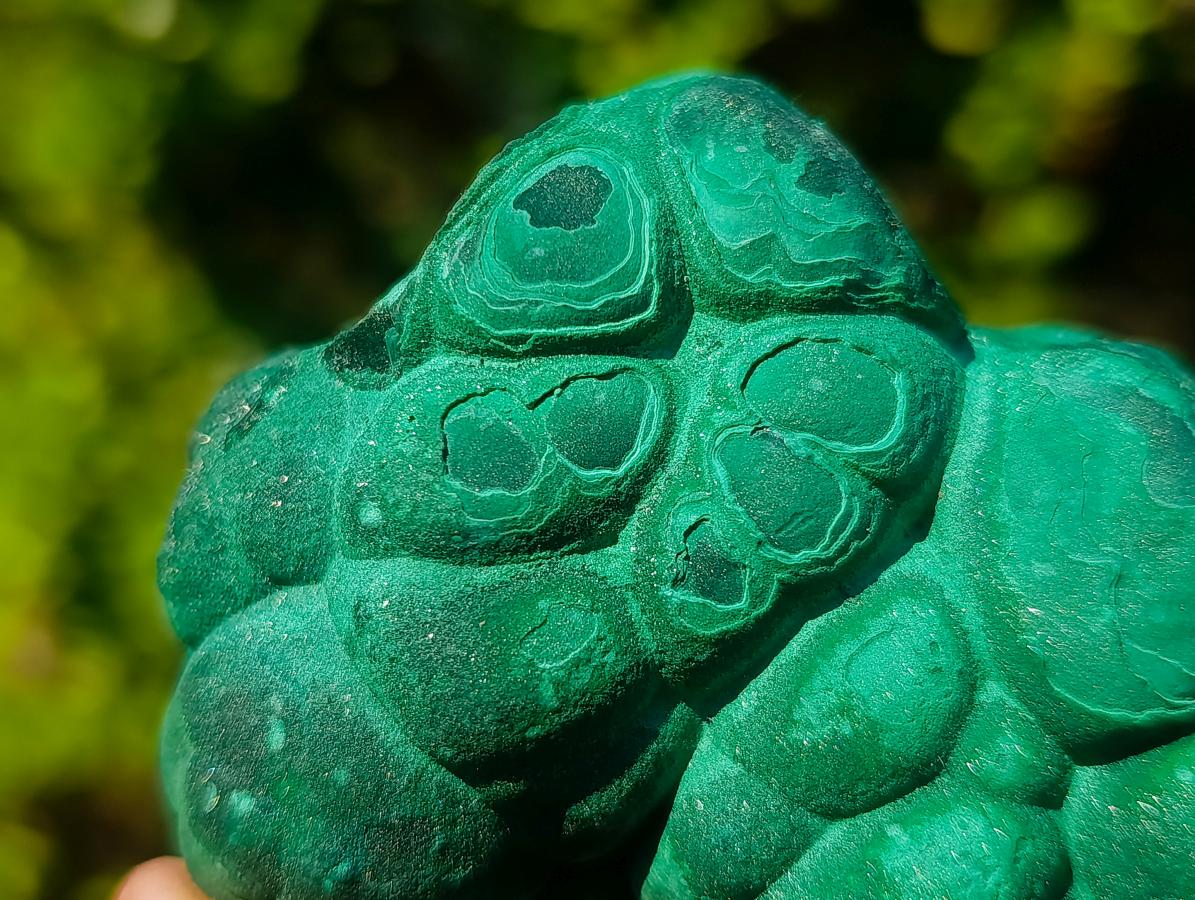 Natural Botryoidal “Kidney” Stalagmitic Crystalline Malachite Specimen x 1 From Kolwezi, Congo