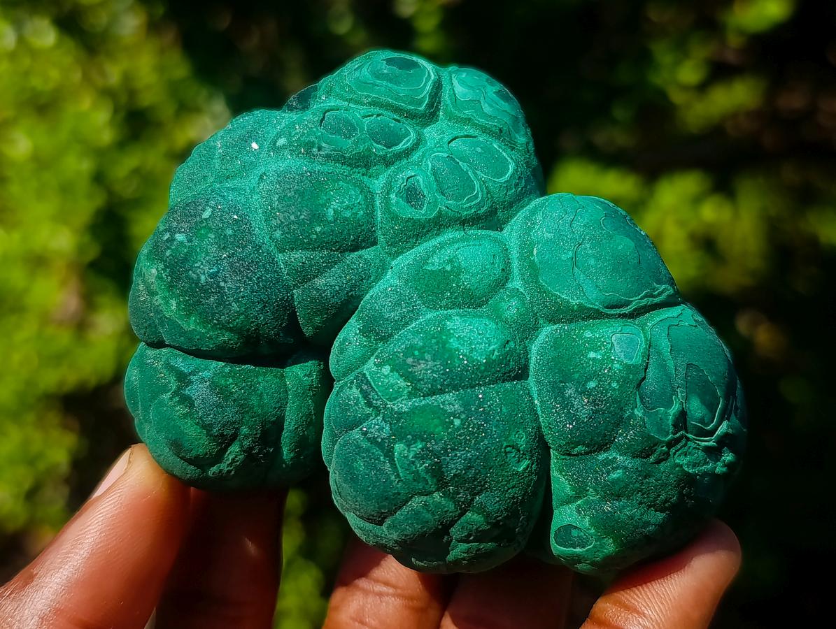 Natural Botryoidal “Kidney” Stalagmitic Crystalline Malachite Specimen x 1 From Kolwezi, Congo