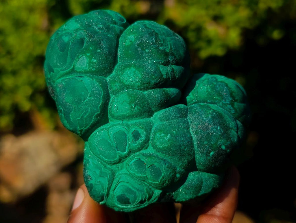Natural Botryoidal “Kidney” Stalagmitic Crystalline Malachite Specimen x 1 From Kolwezi, Congo