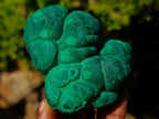 Natural Botryoidal “Kidney” Stalagmitic Crystalline Malachite Specimen x 1 From Kolwezi, Congo