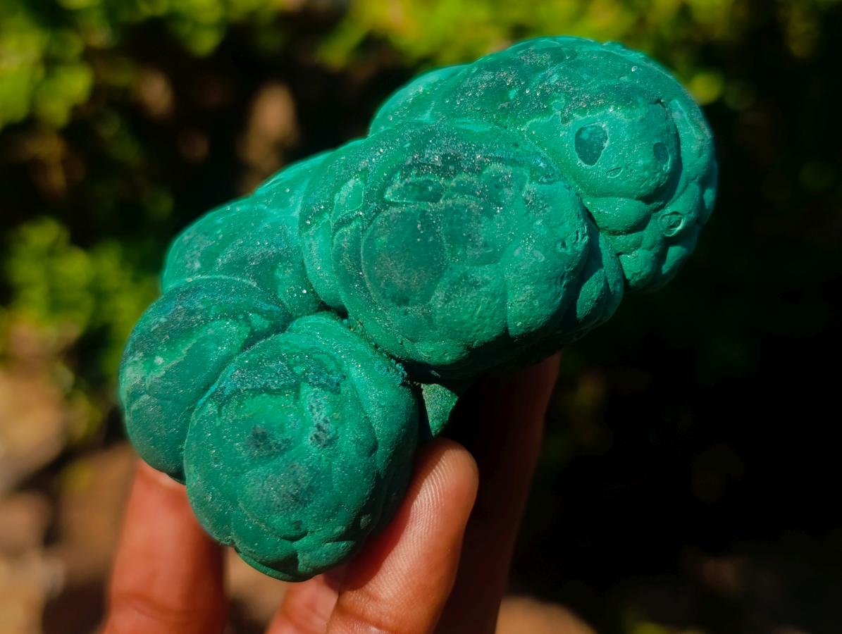Natural Botryoidal “Kidney” Stalagmitic Crystalline Malachite Specimen x 1 From Kolwezi, Congo