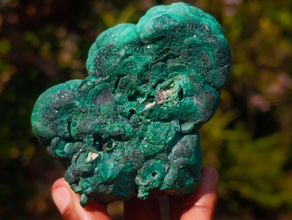 Natural Botryoidal “Kidney” Stalagmitic Crystalline Malachite Specimen x 1 From Kolwezi, Congo