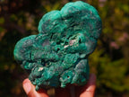 Natural Botryoidal “Kidney” Stalagmitic Crystalline Malachite Specimen x 1 From Kolwezi, Congo