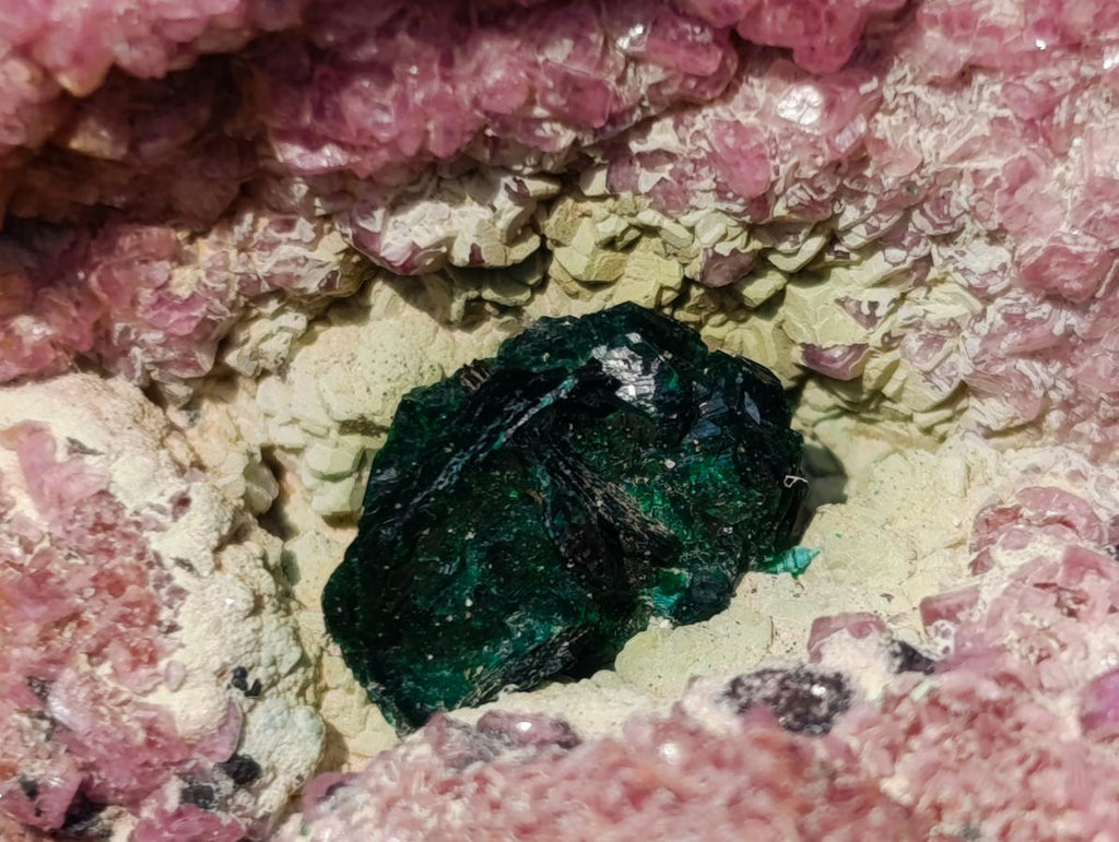 Natural Salrose Specimen with a Bladed Malachite Petillated Crystal x 1 From Kakanda, Congo