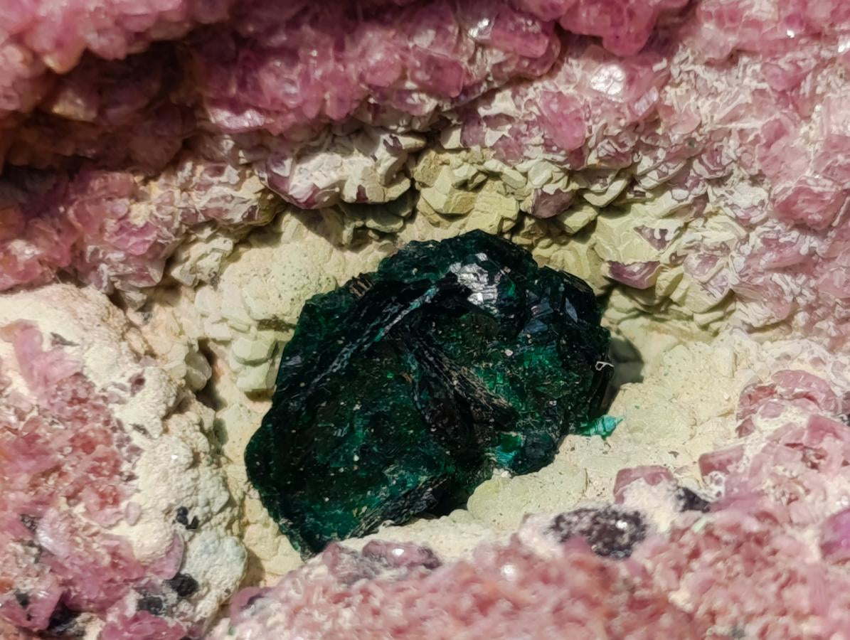 Natural Salrose Specimen with a Bladed Malachite Petillated Crystal x 1 From Kakanda, Congo