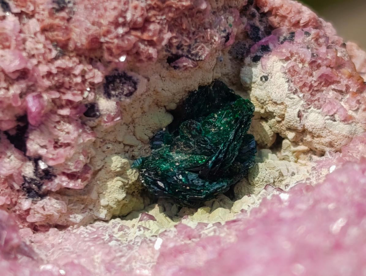 Natural Salrose Specimen with a Bladed Malachite Petillated Crystal x 1 From Kakanda, Congo
