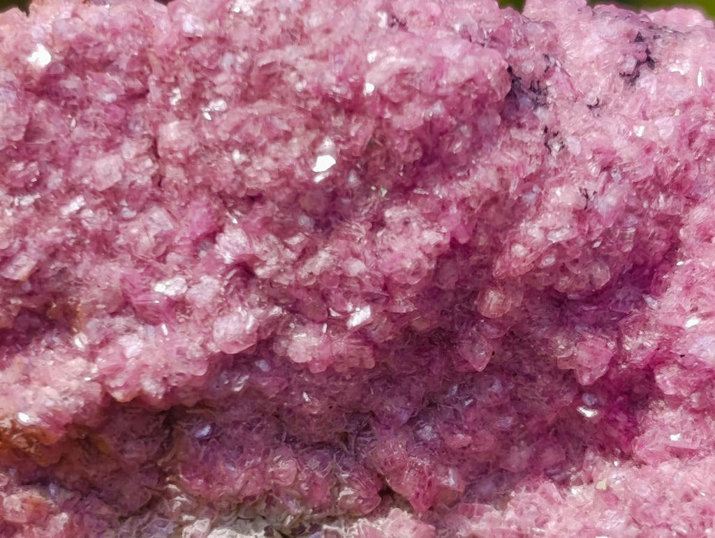 Natural Salrose Specimen with a Bladed Malachite Petillated Crystal x 1 From Kakanda, Congo