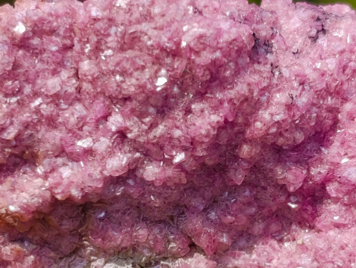 Natural Salrose Specimen with a Bladed Malachite Petillated Crystal x 1 From Kakanda, Congo