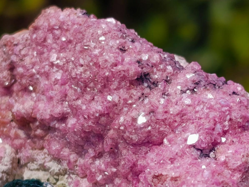 Natural Salrose Specimen with a Bladed Malachite Petillated Crystal x 1 From Kakanda, Congo