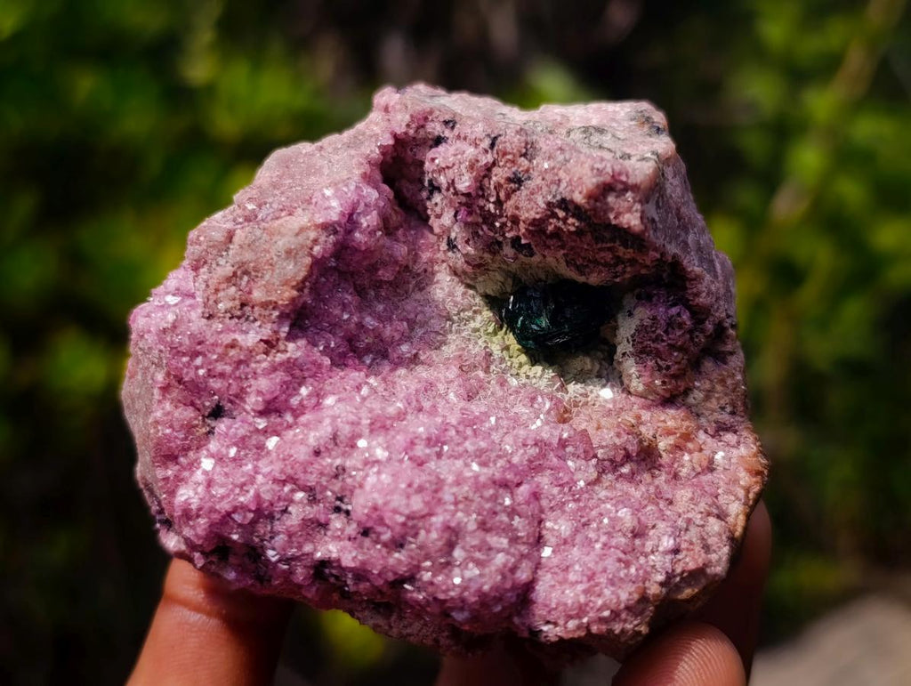 Natural Salrose Specimen with a Bladed Malachite Petillated Crystal x 1 From Kakanda, Congo