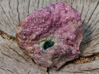 Natural Salrose Specimen with a Bladed Malachite Petillated Crystal x 1 From Kakanda, Congo