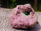 Natural Salrose Specimen with a Bladed Malachite Petillated Crystal x 1 From Kakanda, Congo