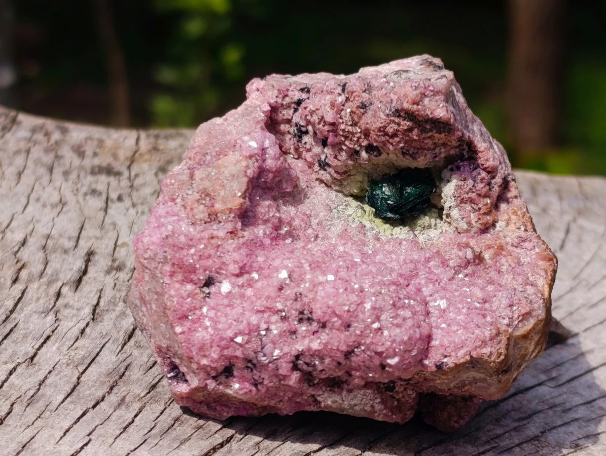 Natural Salrose Specimen with a Bladed Malachite Petillated Crystal x 1 From Kakanda, Congo