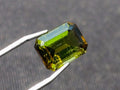 Polished 5 Carat Verdelite Tourmaline Octagonal Step Cut Faceted Gemstone x 1 From Mozambique