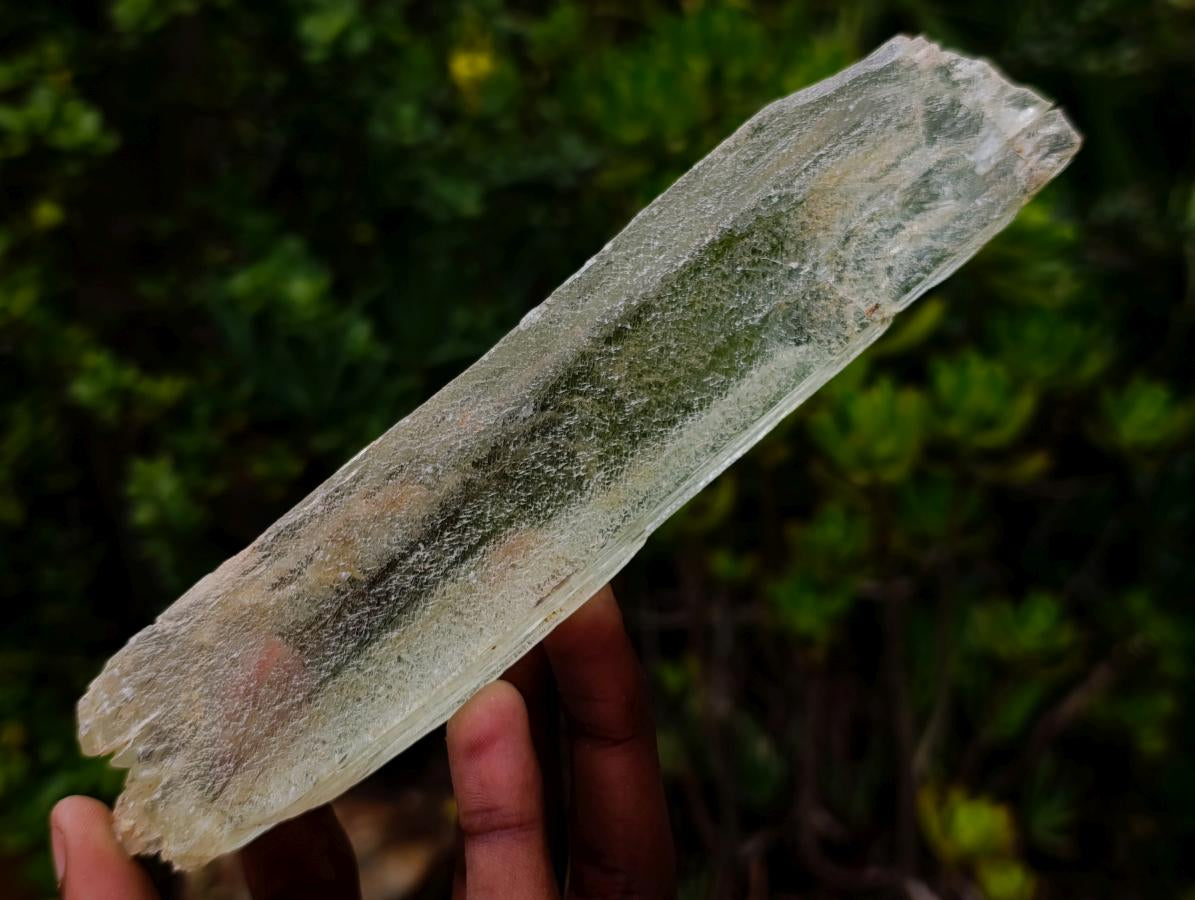 Natural 18.6 cm Yellow Triphane Yellow Spodumene Full Tabular Crystal x 1 From Kunar, Afghanistan